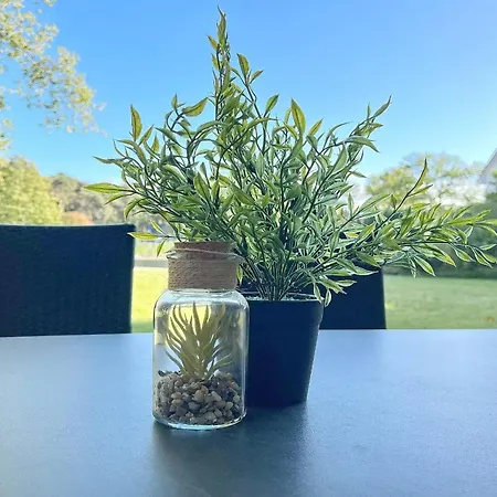 Likedeeler 06 Апартаменты *